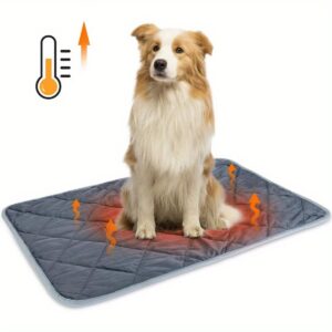 Dog Cat Bed