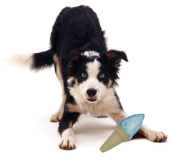 Pet Life Ice Cream Cone Cooling Water-Fillable Chew Toy for Dachshunds - Image 4
