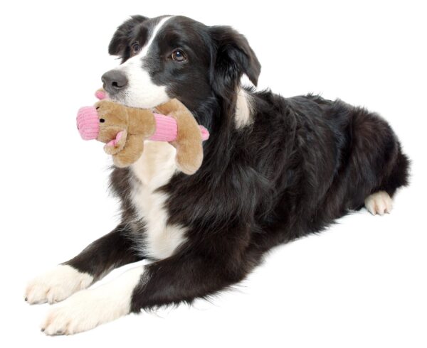 Pet Life Cozy Play Plush 2-Set Squeaking Chew Toys for Dachshunds - Image 4