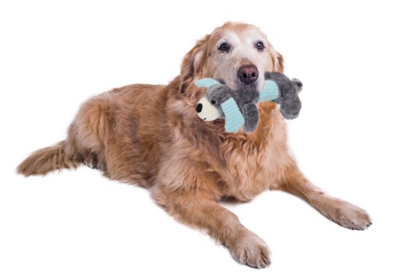 Pet Life Cozy Play Plush 2-Set Squeaking Chew Toys for Dachshunds - Image 8