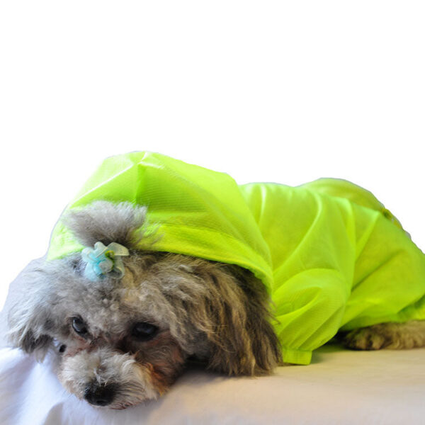 The Ultimate Waterproof Thunder-Paw Adjustable Zippered Folding Travel Dog Raincoat - Image 6
