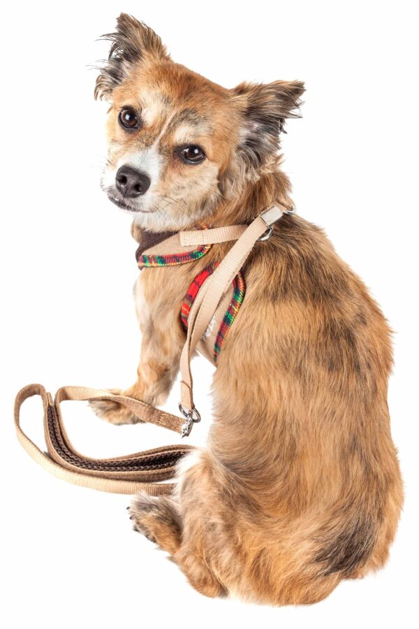 Pet Life Luxe 'Dapperbone' 2-In-1 Mesh Reversed Adjustable Dog Harness-Leash W/ Fashion Bowtie - Image 18
