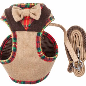 Dog Harnesses, Leads, and Training Gear