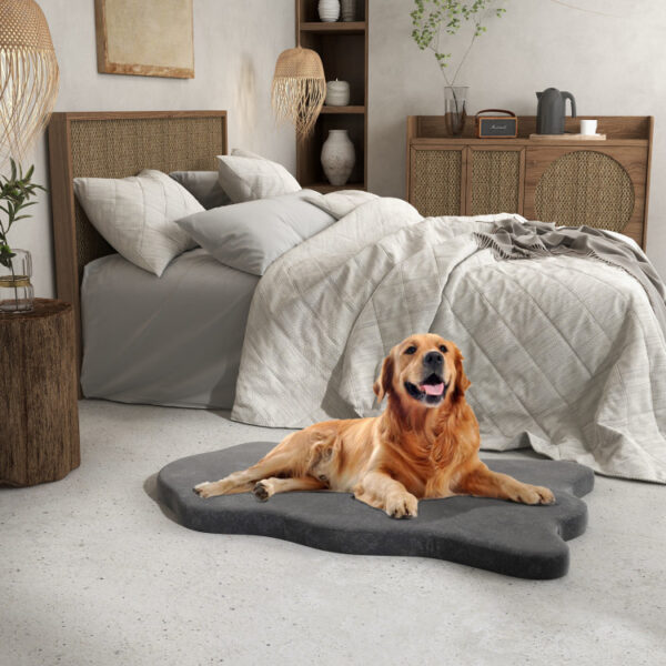 Orthopedic Dog Bed with Memory Foam Support for Large Dogs - Image 13