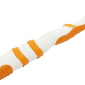 Pet Life 'Denta-Brush' TPR Durable Tooth Brush and Dog Toy