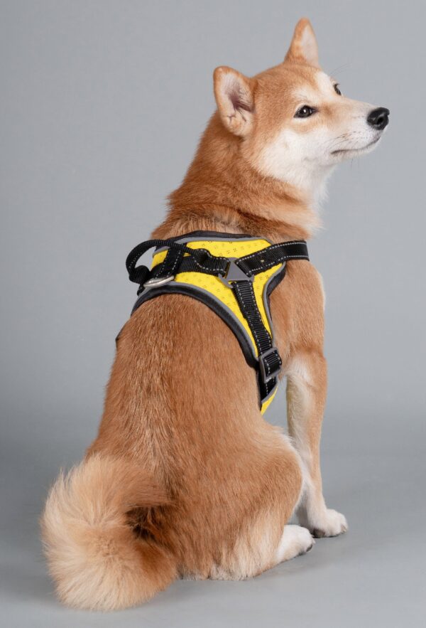 Dog Helios 'Scorpion' Sporty High-Performance Free-Range Dog Harness - Image 18