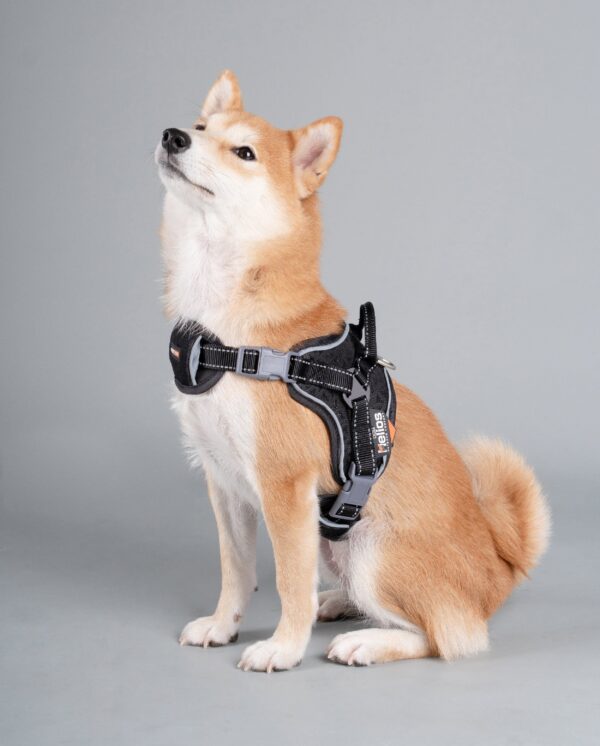 Dog Helios 'Scorpion' Sporty High-Performance Free-Range Dog Harness - Image 43