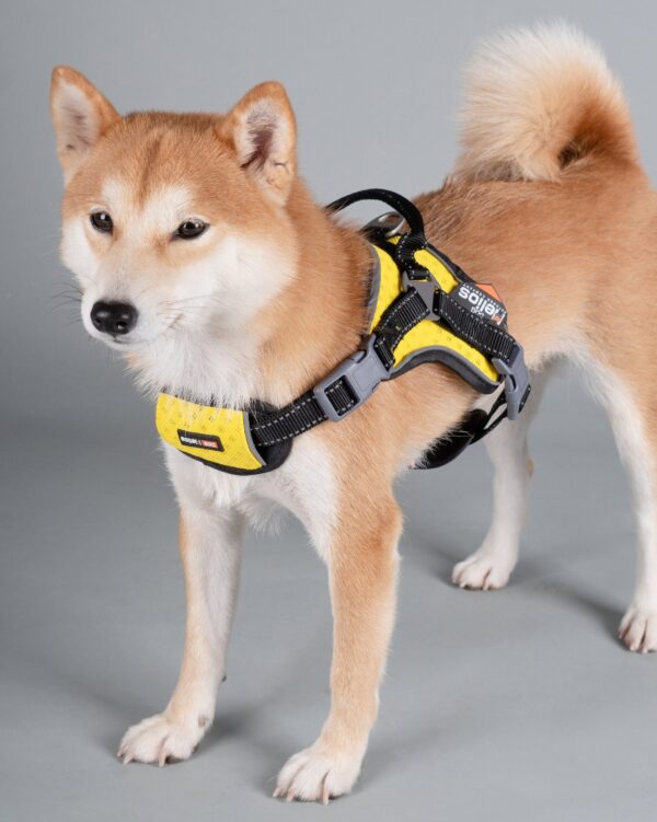 Dog Helios 'Scorpion' Sporty High-Performance Free-Range Dog Harness - Image 7