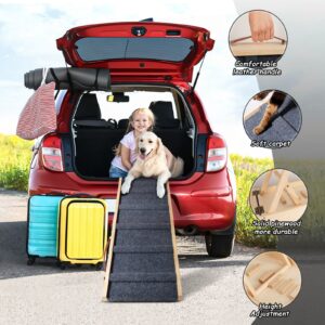 Dog Ramp