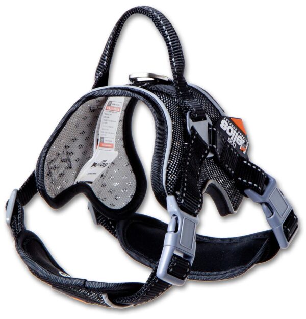 Dog Helios 'Scorpion' Sporty High-Performance Free-Range Dog Harness - Image 51