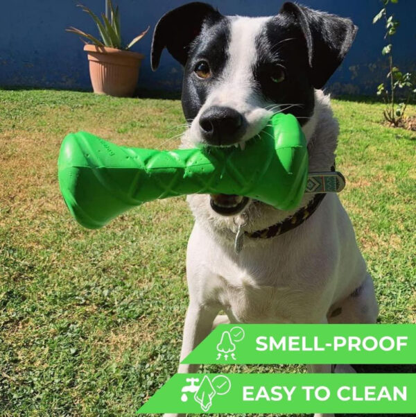 Dumbbell Dog Fetch Toy Outdoor Barbell Dog Toy for Small Medium and Large Breed Dogs Floating Dog Toy Dog Ball & Dog Frisbee Alt Outside Dog Yard Toys Best Dog Birthday Gift Green - Image 4