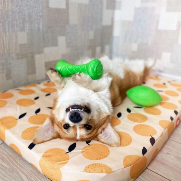 Dumbbell Dog Fetch Toy Outdoor Barbell Dog Toy for Small Medium and Large Breed Dogs Floating Dog Toy Dog Ball & Dog Frisbee Alt Outside Dog Yard Toys Best Dog Birthday Gift Green - Image 6