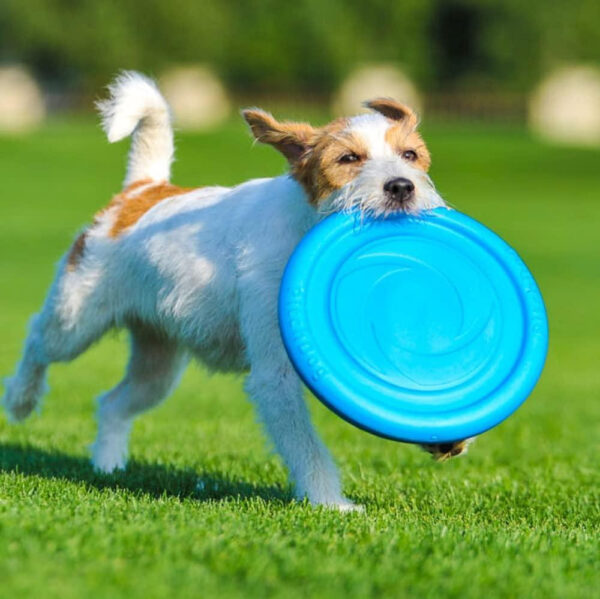 Dog Frisbee Toy Safe for Teeth Outdoor Floating Flying Disk for Small Medium and Large Breed Dogs Lightweight Dog Catch and Fetch Toy Outside Dog Yard Toys Blue - Image 7