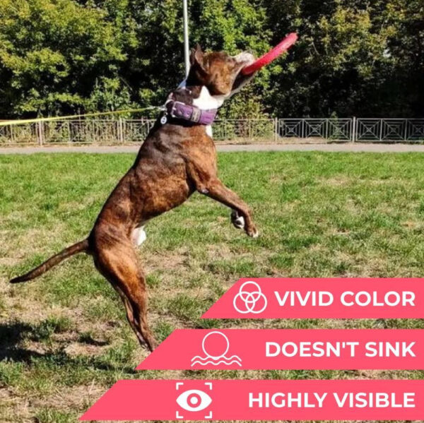 Dog Frisbee Toy Safe for Teeth Outdoor Floating Flying Disk for Small Medium and Large Breed Dogs Lightweight Dog Catch and Fetch Toy Outside Dog Yard Toys Pink Color - Image 4