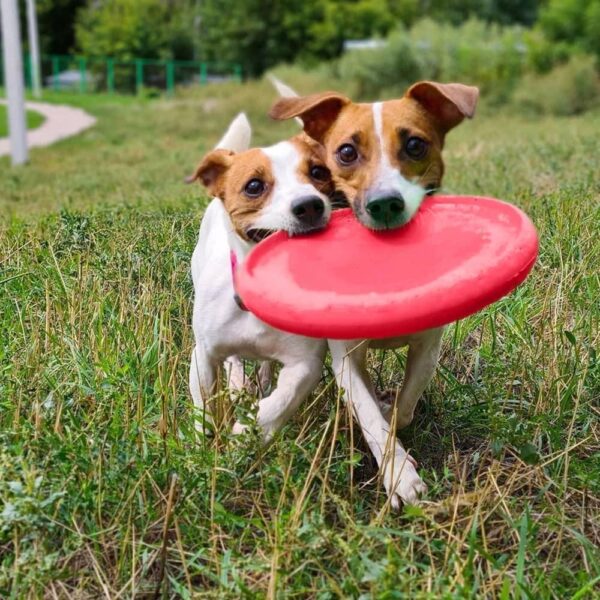 Dog Frisbee Toy Safe for Teeth Outdoor Floating Flying Disk for Small Medium and Large Breed Dogs Lightweight Dog Catch and Fetch Toy Outside Dog Yard Toys Pink Color - Image 7