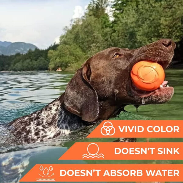Dog Fetch Toy Outdoor Barbell Dog Toy for Small Medium and Large Breed Dogs Floating Dog Toy Orange - Image 5