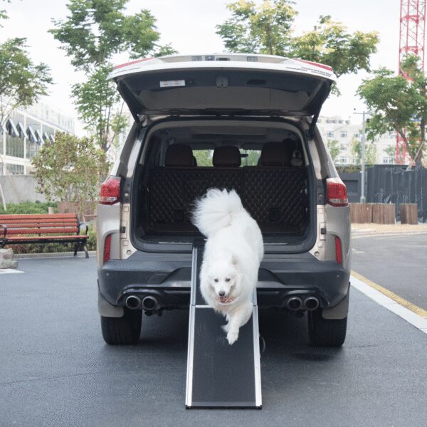 Non-slip Foot Mats for Most Sized Dogs