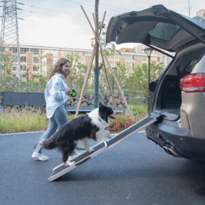 Foldable Aluminum Dog Car Step Ramp