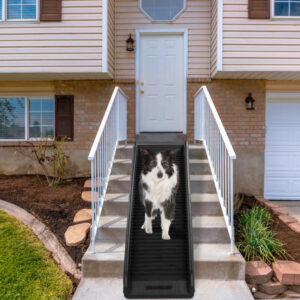 63 inch Folding Dog Ramp