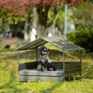 Dog Bed