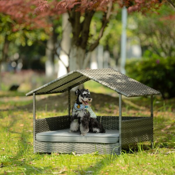 Dog Bed
