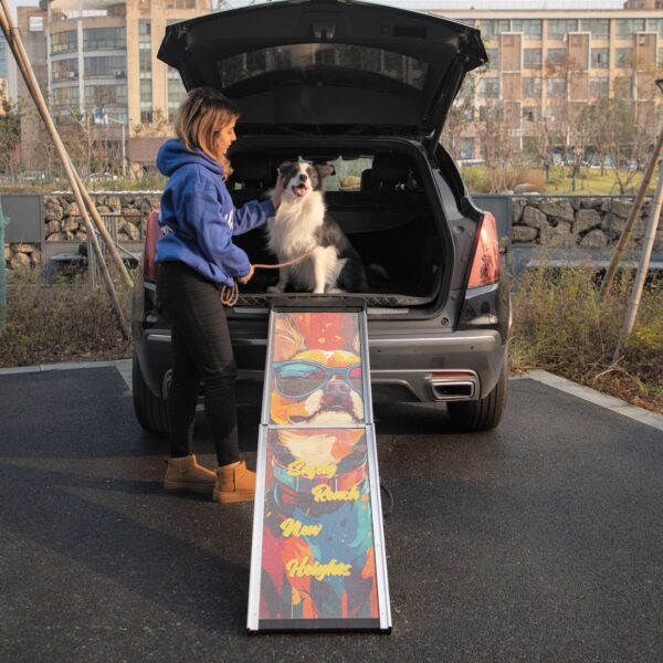 Retractable Aluminum Dog Ramp