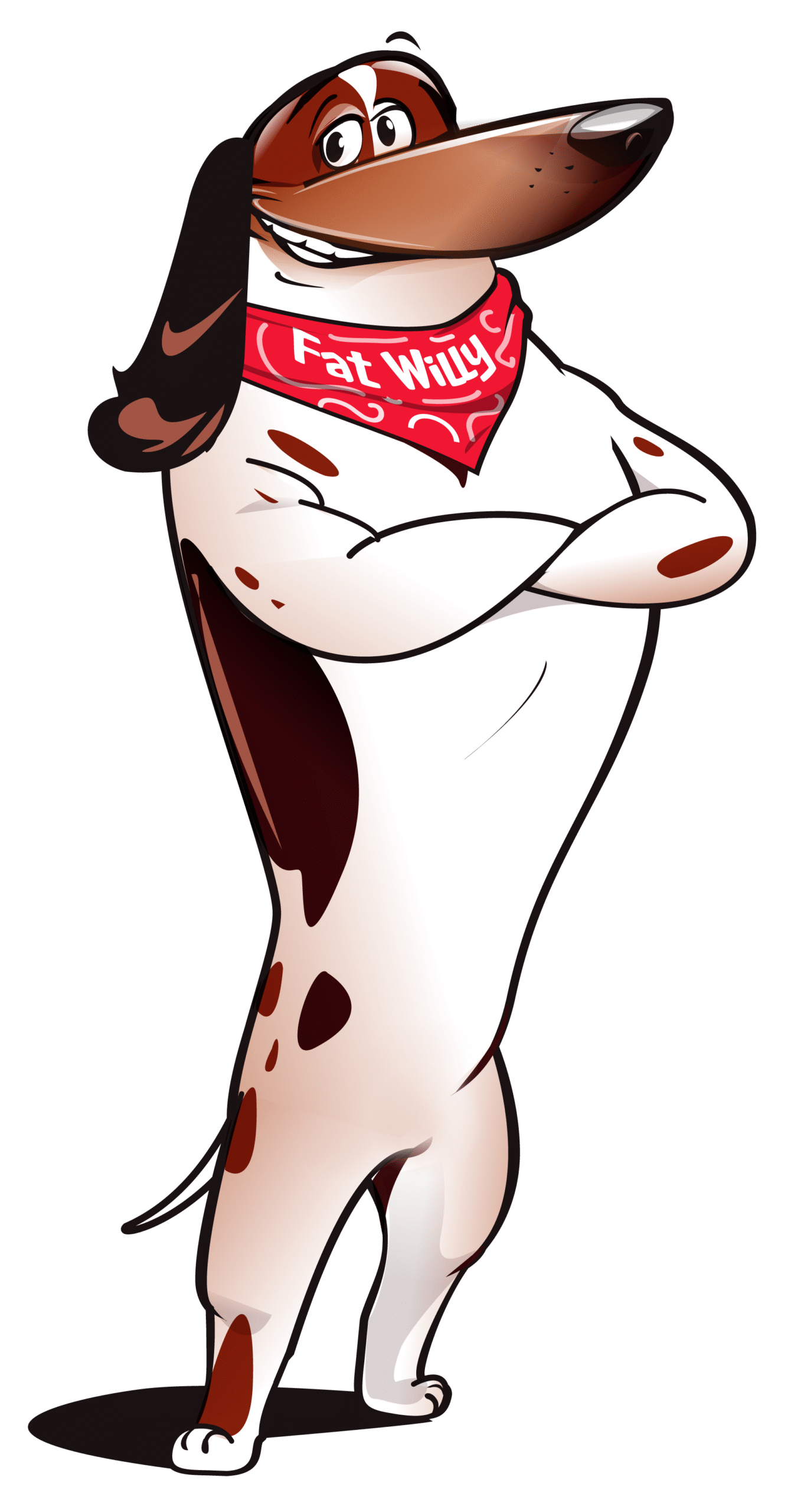 Piebald dachshund Fat Willy standing on hind legs with arms crossed, showcasing his confident and playful personality.
